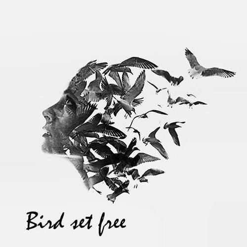 Bird Set Free by Sia - Acapella Cover (with Fx, no tuning)