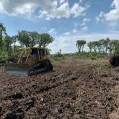 Dallas Land Clearing: Land Clearing In Dallas Texas