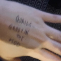 Quails - Groovin The Moo - 24 April 2022