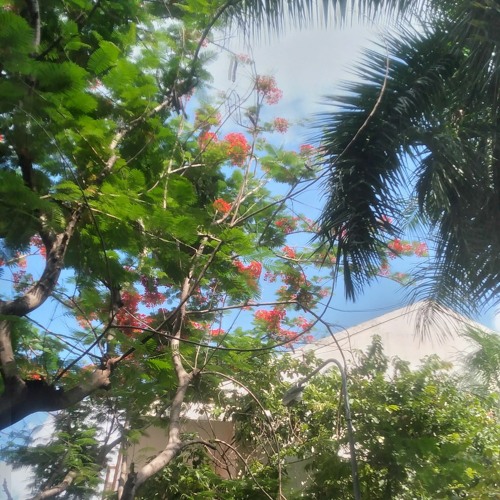 RAPITALOUD EP  Rapital