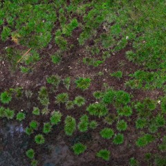 ⌘Wide Escapes:A path to the mix