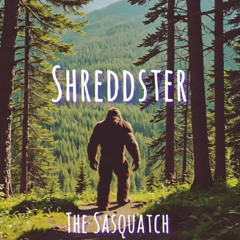 The Sasquatch