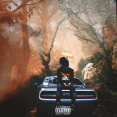 Durability ( ft. Xin )