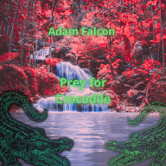 Adam Falcon - Prey For Crocodile