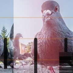 Dr. White -Taubi.wav