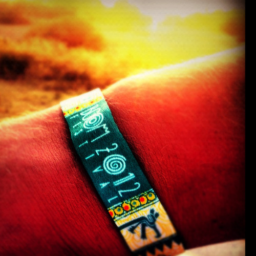 Protocol: Vernal Reboot