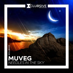 Muveg - Needles In The Sky