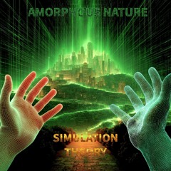 Simulation Theory