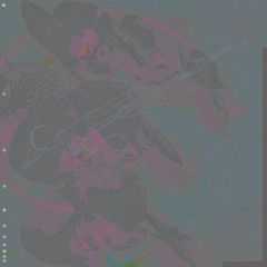 PREMIERE: Francesco Skip - Megamangled [Grid Records]