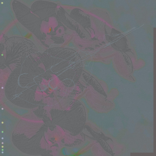 PREMIERE: Francesco Skip - Megamangled [Grid Records]