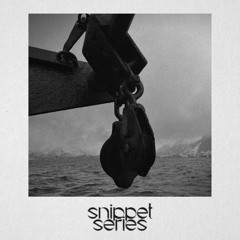 Snippet Series
