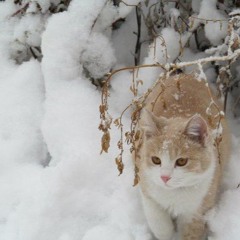 fable//game (prod sk8miles)