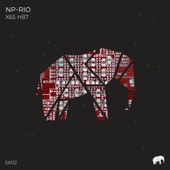 NP-Rio - X65 (Original Mix)