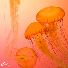 The More The Merrier