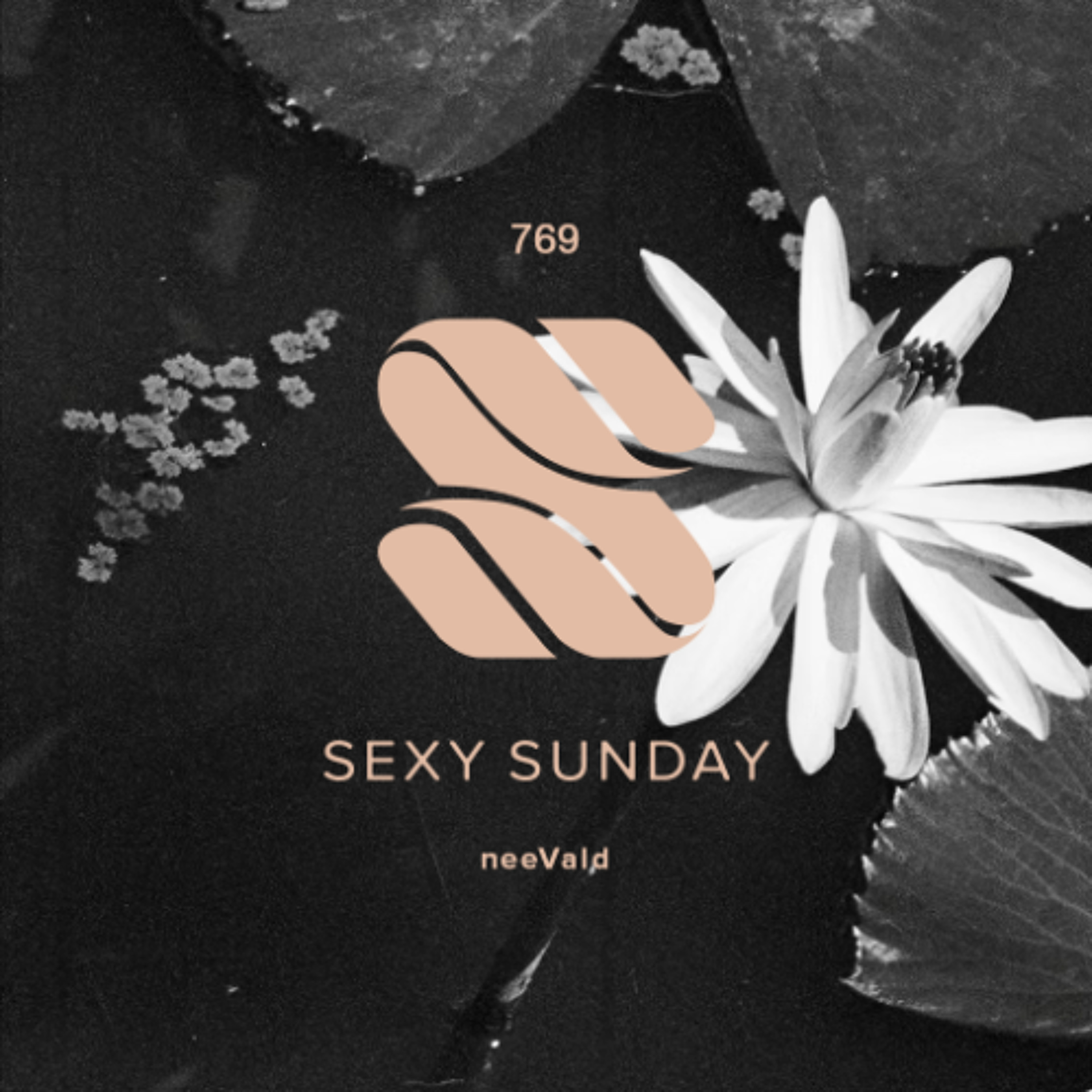 Sexy Sunday Radio Show 769 - PURE IBIZA RADIO episode artwork
