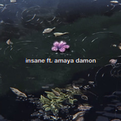 Insane ft. Amaya Damon