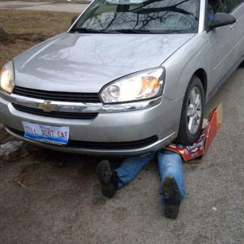 Orangy - Windshieldlicker