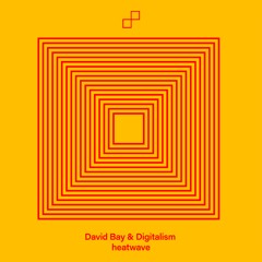David Bay & Digitalism - heatwave