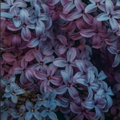 LoFi & Chillhop