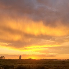 Looking for her (Global charts)