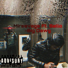 x $avvo Big Dawg