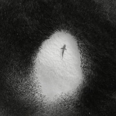 VIOLENT TENDENCIES PREVIEW