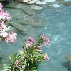 Saratoga (Prod. Ill Instrumentals)