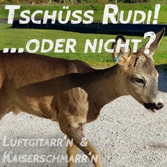 #9 - Tschüss Rudi! ...oder nicht?