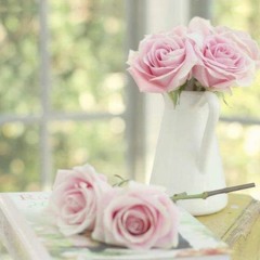 القارئ يوسف الصقير || سورة يوسف