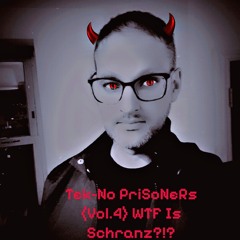 TeK-No PriSoNeRs (Vol.4) WTF is Schranz?!? 🔥🔥🔥🔥😈😈😈.wav