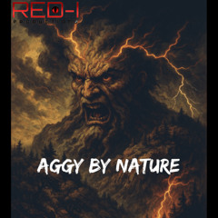 Aggy By Nature (Red-I Productions)