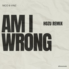 Nico & Vinz - Am I Wrong [HOZU Remix]