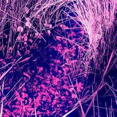 Deseretian (Interlude)