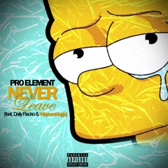 Never Leave (feat. Daily Flacko & WayneeHugo)