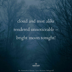 bright moon tonight (Naviarhaiku 593 )
