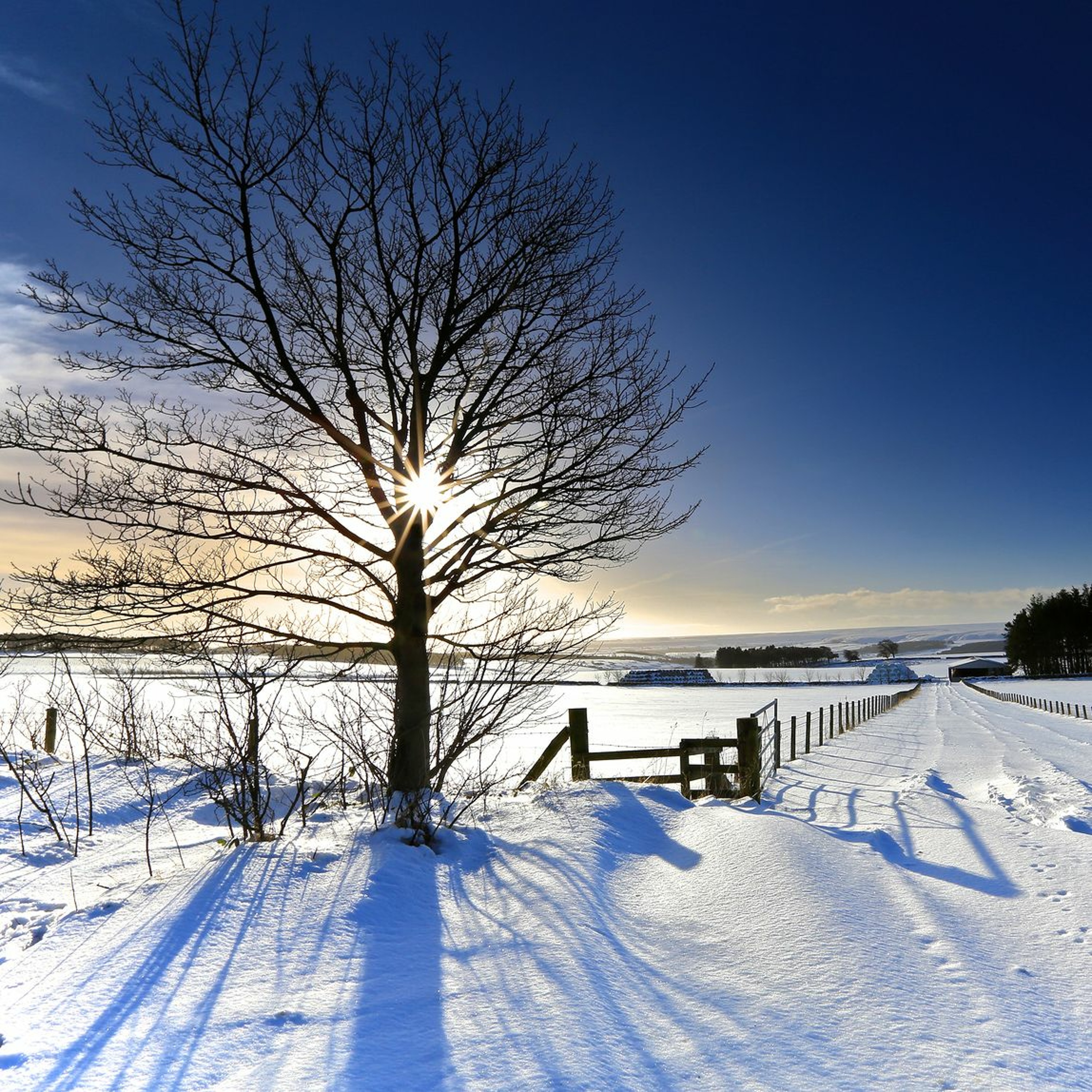 Holiday Season Stories of Warmth and Light episode artwork