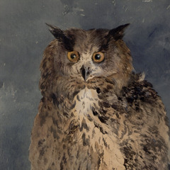 nocturnal