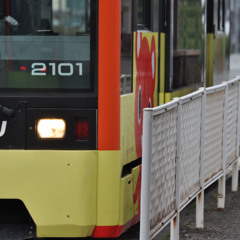 WRIGGLED JR-MATSUYAMA st.｜環状線JR松山駅前電停