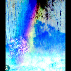 dark side of the rainbow