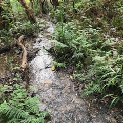 sunset over wollumbin