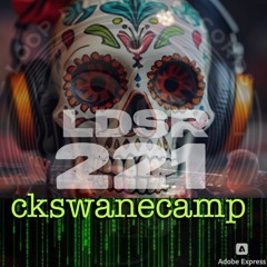 ckswanecamp - LDSR 221 (2)