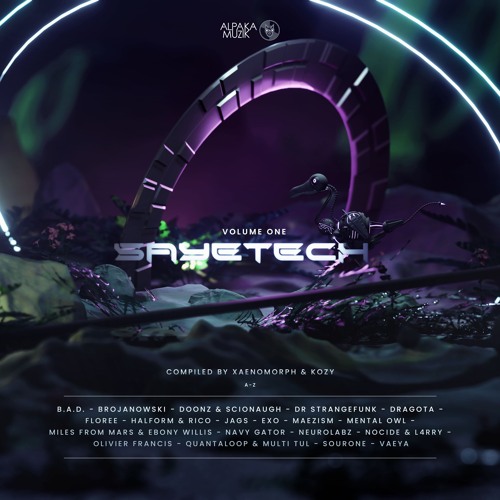 Halform X RICO - It's Like That [V.A Sayetech Vol.1][Alpaka Muzik]
