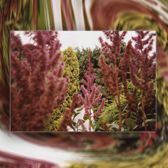UNPLANED (PLEURAL EDIT)