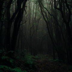 Regret (prod. Norbek R)