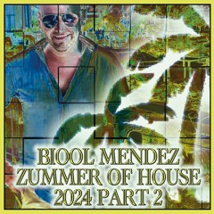 DJ BIOOL - ZUMMER OF HOUSE 2024 part 2 (new vs older hits)