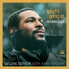 Inner City Blues (Make Me Wanna Holler)