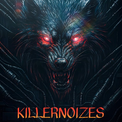 Killernoizes own tracks mixed 21.11.10.mp3