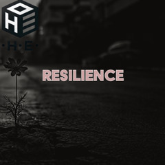Resilience v3