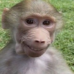 musica p quebrar tudo do mundo