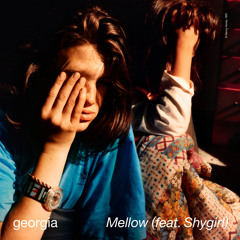 Mellow (feat. Shygirl)